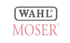 Wahl